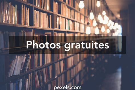 BIBLIOTHEQUE LIBRE ET GRATUIT .